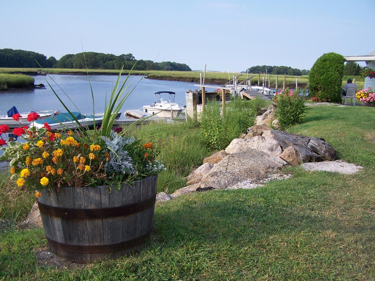 Shea'S Riverside Inn & Motel Essex Dış mekan fotoğraf